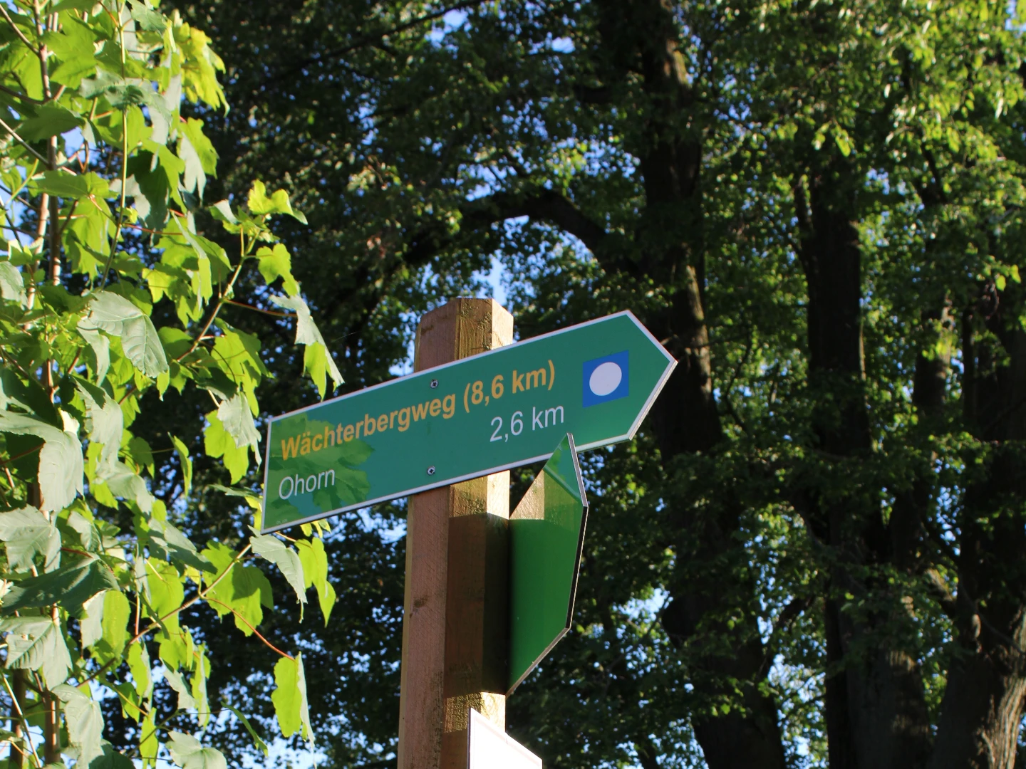 Wegweiser zu Wanderzielen in der Umgebung der Buschmühle